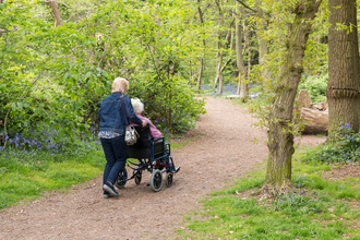 wheelchair user on a path in woodland