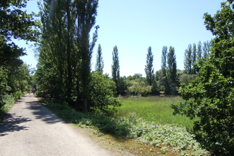 Path at Brandon by pool