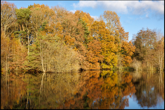 Brandon Marsh and water reflected