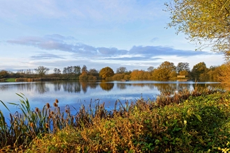 Brandon Marsh in Autumn