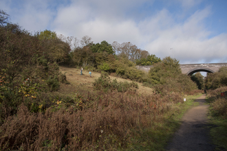 Ashlawn Cutting