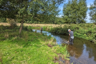 Macroinvertebrate surveying