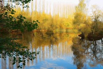 Brandon Marsh in Autumn