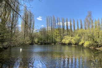 Brandon Marsh in April