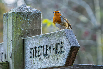 Steetley sign robin 