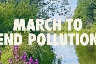 Photo of clean water with purple flowers, bushes, and trees around it with the words 'march to end pollution'