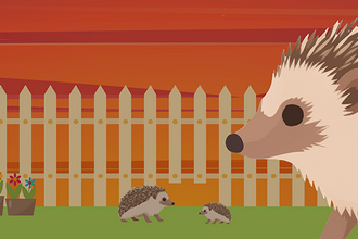 An illustrated hedgehog