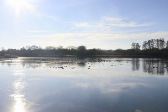 A picture of a lake at Brandon Marsh Nature Reserve