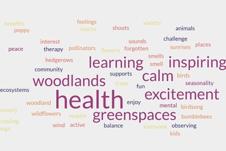 Word cloud #TeamWilder