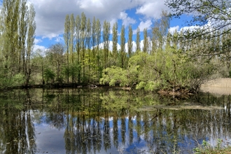 Brandon Marsh pool