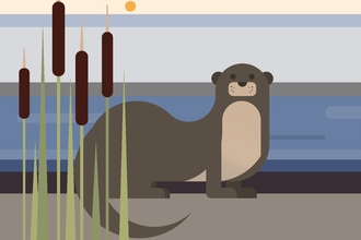 An illustration of an otter