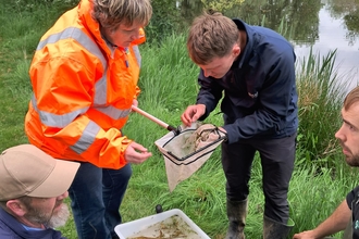 Group of people looking at invertebrates from local river after kick sampling