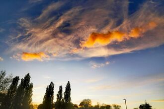 Photo of a sunset in nuneaton with trees and a lampost