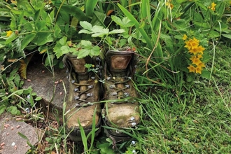 Boots overgrown with plants in a wildlife gallery