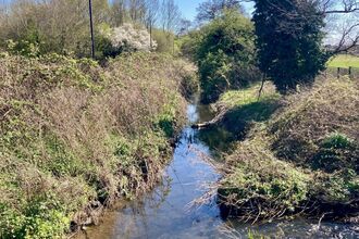 View looking down the stream at Abbey Fields Kenilworth