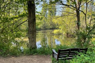 Bench overlooking pool at Brandon Marsh