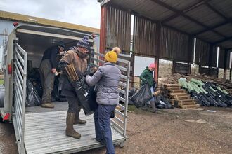 A group of people offloading young tree saplings from a vehicle.