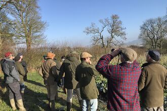 farmers looking at birds in a field