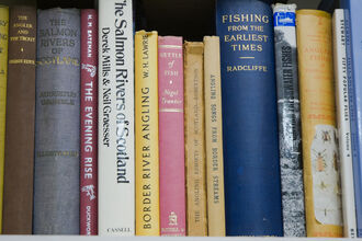 a row of books on a bookshelf