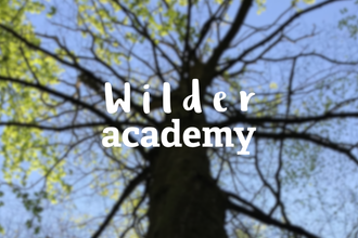 tree canopy blurred with the words 'wilder academy' in white text