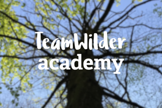 background photo of a tree with 'TeamWilder Academy' in white text