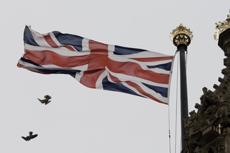 juvenile peregrine falcons (Falco peregrinus) chasing one another infront of a union jack flag on top of the houses of parliament, central london, summer.