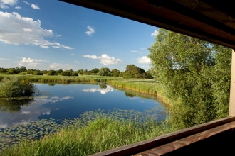 View from birdwatching hide over wetland habitat