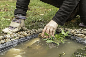 Wildlife Gardening pond