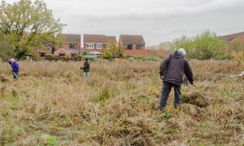 Kingsbury Meadow copyright Alex Murison (WWT)