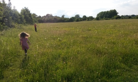 Children exploring Taskers Meadow Vicky Page