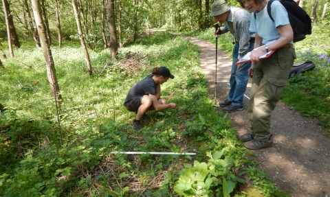 Brandon Wood survey May 2018 Credit Dunsmore Living Landsacape