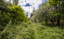 Ufton Fields Nature Reserve