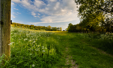 Radway Meadows May 2019 Credit Steve Gale