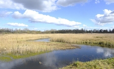 An image of a snaking river taken from the Ted Jury bird hide at Brandon Marsh