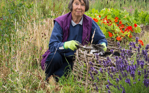 Carol gardening as a volunteer