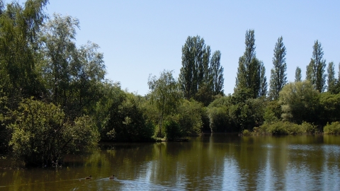 Brandon Marsh pool