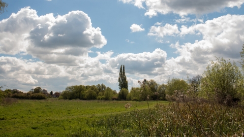 Leam Valley nature reserve New Leaf Images