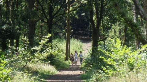 Oakley Wood family walk Steven Cheshire