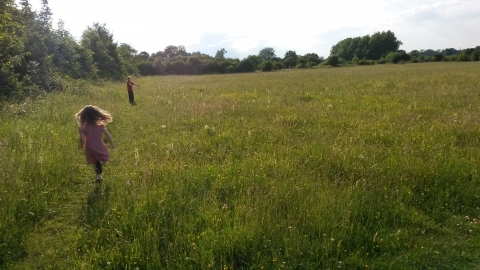 Children exploring Taskers Meadow Vicky Page