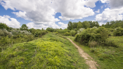 Ufton%20Fields%20View%20Aug%202016%20Steven%20Cheshire.png?h=c6980913&itok=uNuzVEaX Ufton%20Fields%20View%20Aug%202016%20Steven%20Cheshire.png?h=c6980913&itok=uNuzVEaX
