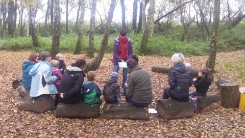 Nature Tots in the Woods