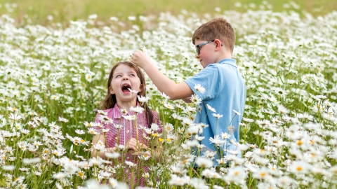 Children in meadow flowers Credit Vicky Page / Offshoots Photography