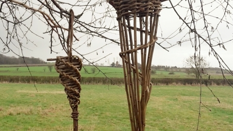 Willow Weaving