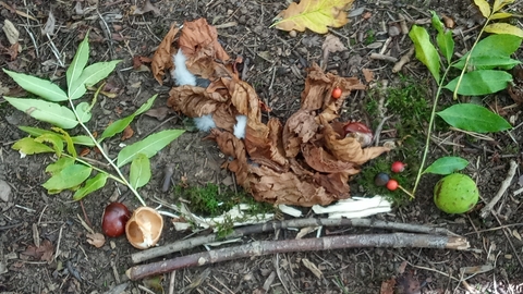 Squirrel nature art