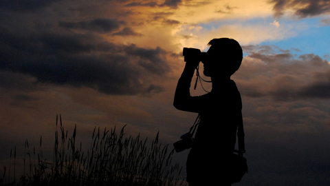 Birdwatching