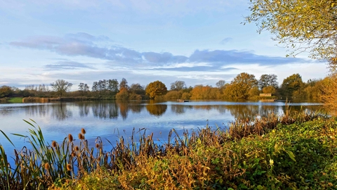 Brandon Marsh in Autumn