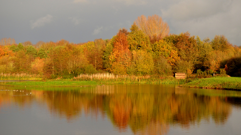 Brandon Marsh in golden light