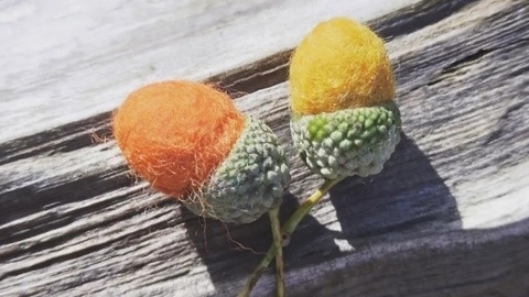 Two felt acorns one orange and one yellow sitting on a branch