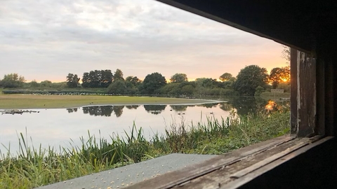 Nature Walk & Natter