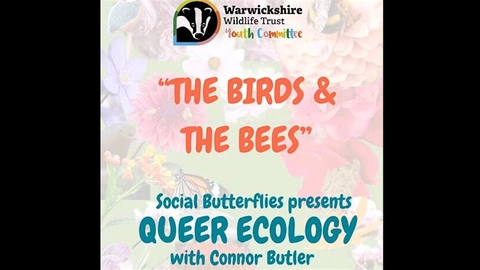 'The Birds & The Bees' Queer Ecology with Connor Butler